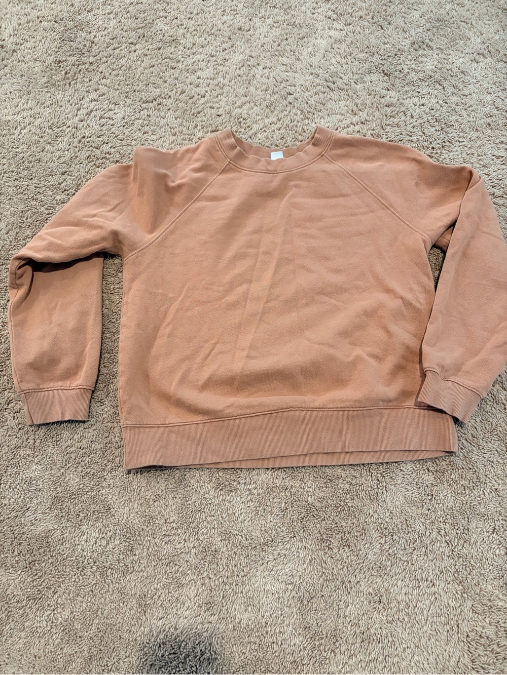 GAP Women's Crewneck Sweatshirt in Clay Rose Brown -030